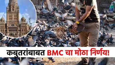 मोठी बातमी! कबुतरांना खाद्य देण्यासाठी मुंबई पालिकेची 4 ठिकाणांना मान्यता