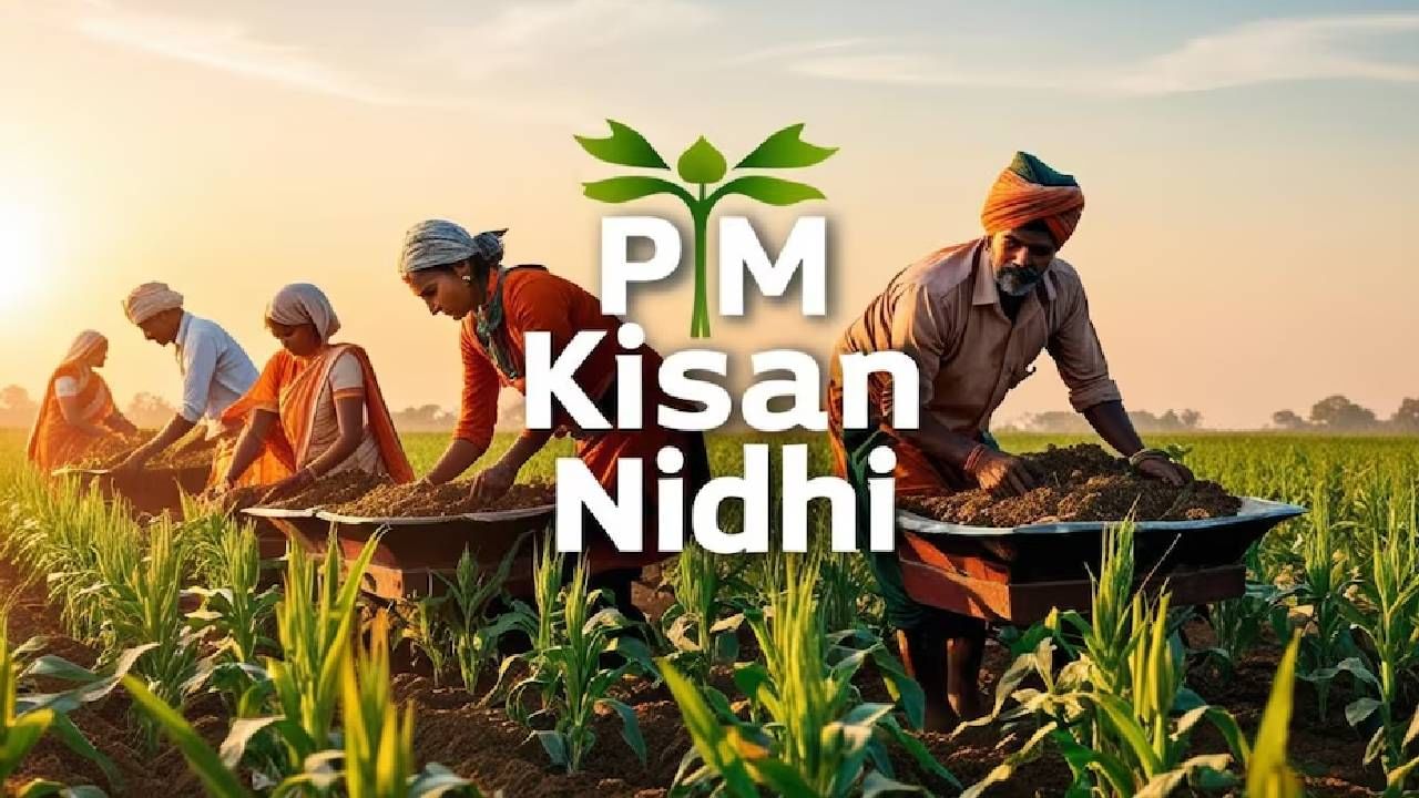 PM Kisan चा 21 वा हप्ता तुमच्या खात्यात झाला जमा? या राज्यांमधील शेतकऱ्यांना अद्यापही प्रतिक्षा, काय आहे अपडेट?