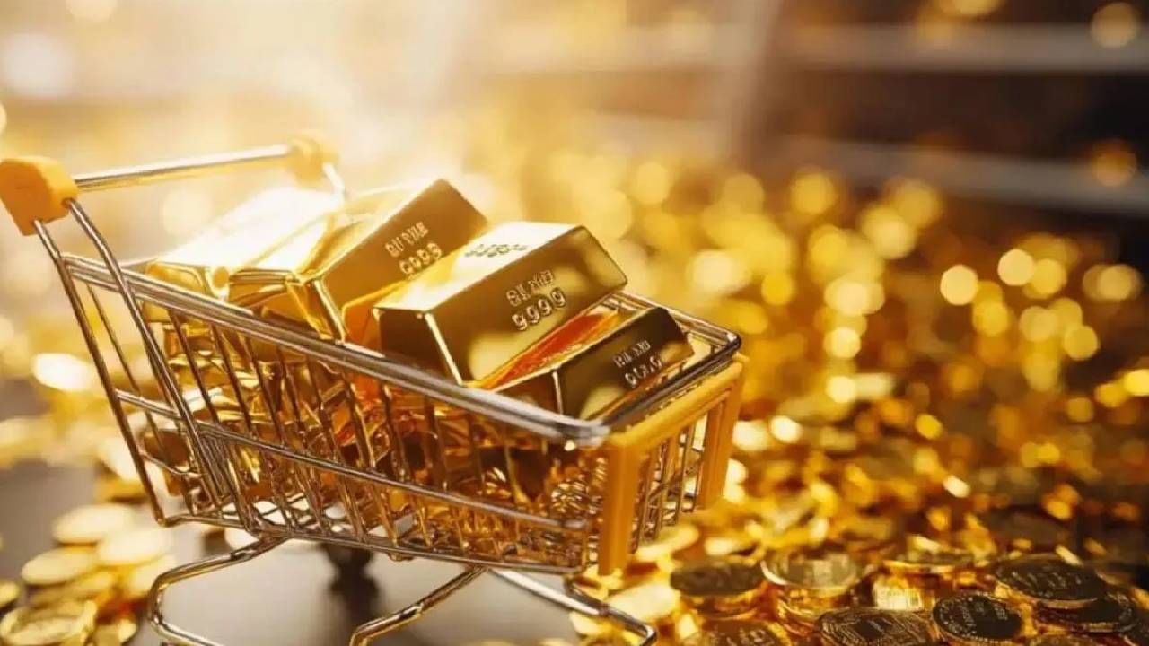 Gold Rate : 7 महिन्यात भारतात कुणी आणले 64000 किलो सोने? येथे 1 ग्रॅम घेताना फुटतो घाम, आता तर क्विंटलमध्ये सौदा Gold Rate : 7 महिन्यात भारतात कुणी आणले 64000 किलो सोने? येथे 1 ग्रॅम घेताना फुटतो घाम, आता तर क्विंटलमध्ये सौदा