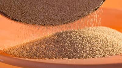 राजगिरा पीठाचे हे आश्चर्यकारक फायदे, जाणून घ्या त्याचे पौष्टिक मूल्य