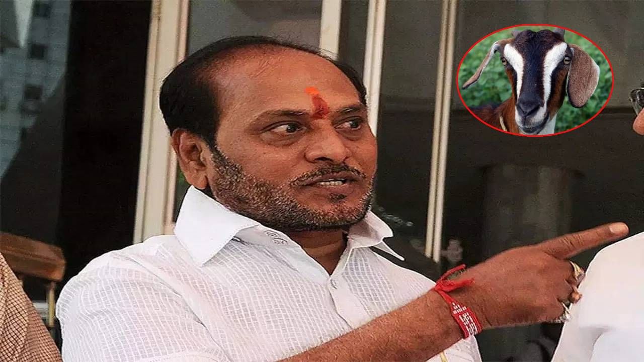 चंद्रग्रहणाच्या दिवशी माझ्या आणि माझ्या मुलाच्या नावाने स्मशानभूमीत बोकड कुणी कापलं?; रामदास कदम यांचा अनिल परब यांना सवाल चंद्रग्रहणाच्या दिवशी माझ्या आणि माझ्या मुलाच्या नावाने स्मशानभूमीत बोकड कुणी कापलं?; रामदास कदम यांचा अनिल परब यांना सवाल