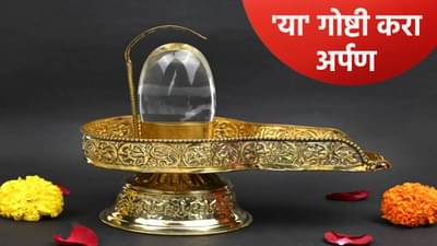 देवउठनी एकादशीच्या दिवशी शिवलिंगावर या गोष्टी करा अर्पण, जीवनातील सर्व त्रासांपासून मिळेल मुक्ती