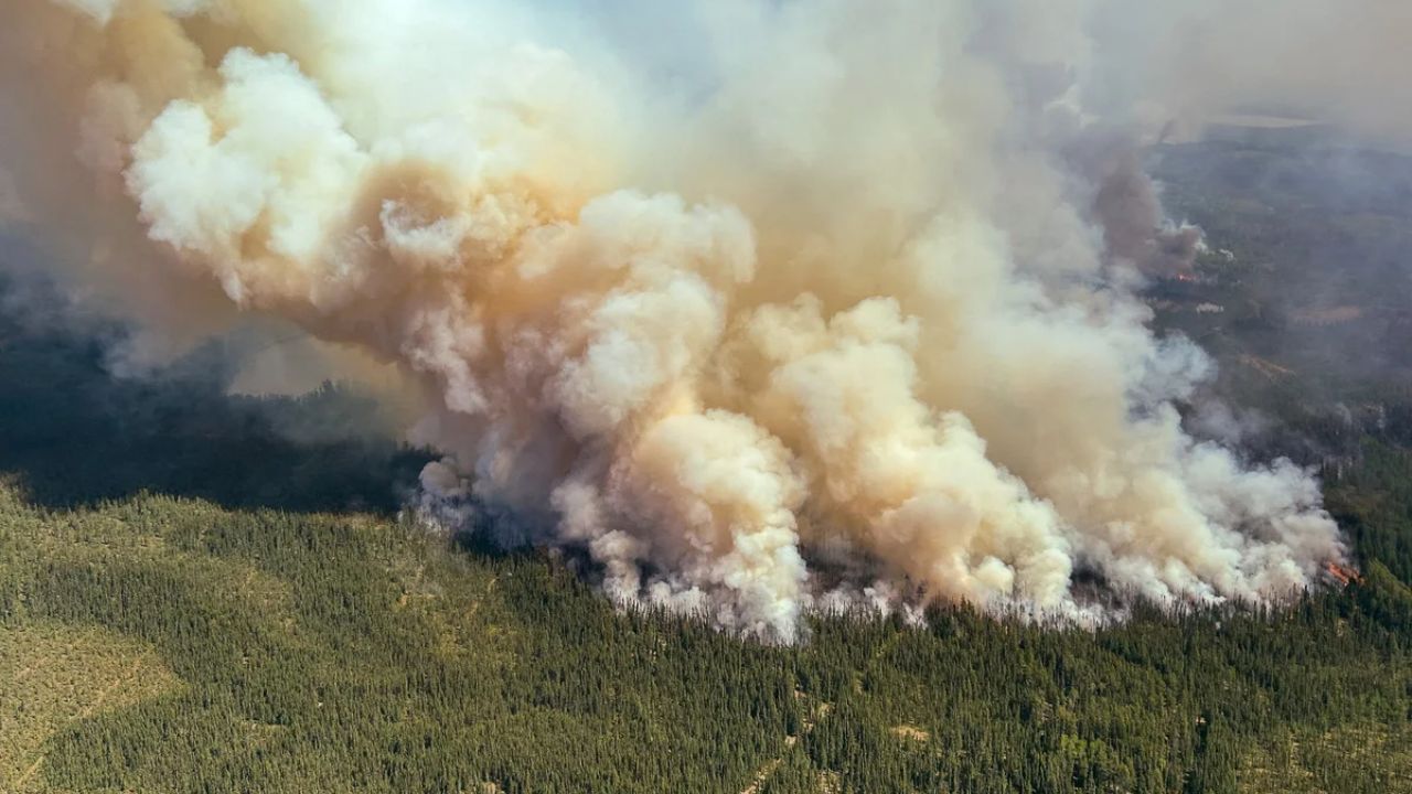 धूर वरच्या दिशेने जाण्याचे कारण म्हणजे हवेची कमी घनता. धूर हा लहान कण, वायू आणि पाण्याच्या वाफेपासून बनलेला असतो. एखादी वस्तू जळल्यावर धूर वर येतो, म्हणजे जळल्यानंतर त्याच्या सभोवतालची हवा गरम होते.