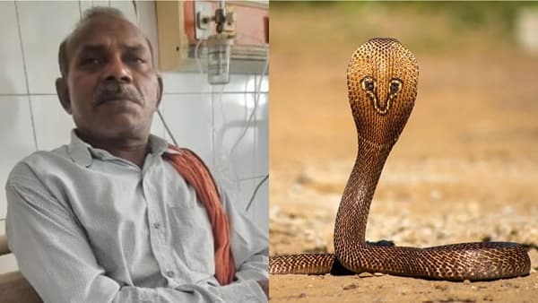 हा माणूस निघाला सापांचाही बाप... 40 वेळा साप चावले तरीही... असं काय आहे या माणसात?