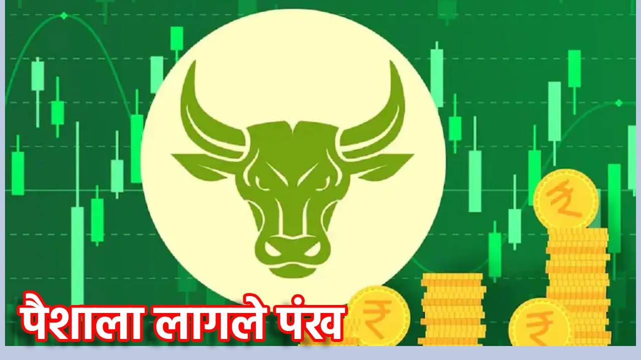 Share Market : गुंतवणूकदारांना 6 महिन्यातच लॉटरी! या शेअरमध्ये तुफान,असे झाले मालामाल