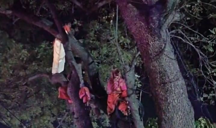 सायंकाळी अंधार पडूनही महिला झाडावर आहेत.तीन तासांहून अधिक काळ महिला झाडावर असल्याने त्या अगदी थकून गेल्याचे पाहायला मिळत आहेत.