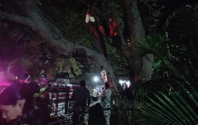 गोसेखुर्द धरण बाधितांच्या आंदोलनाकडे सरकारने दुर्लक्ष केल्याने त्यांनी भंडारा जिल्हाधिकारी कार्यालयासमोरील कडुलिंबाच्या मोठ्या झाडावर चढून अनोखे आंदोलन केले.