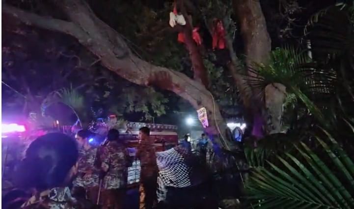 झाडावर चढलेल्या महिलांना कोणतीही इजा होऊ नये म्हणून खाली त्यांच्या सेफ्टीसाठी जाळी देखील लावण्यात आलेली आहे. फायर ब्रिगेडच्या सिडीच्या सहाय्याने त्यांना उतरवण्यासाठी काही वेळात प्रयत्न केले जाणार आहेत.