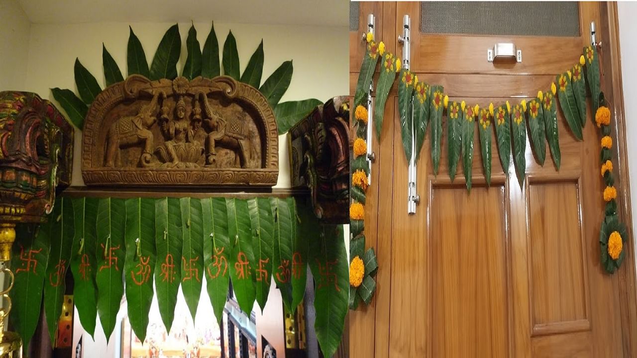 दाराला आंब्याच्या पानांचे तोरण लावण्याचे फायदे माहितीये? जाणून आश्चर्य वाटेल दाराला आंब्याच्या पानांचे तोरण लावण्याचे फायदे माहितीये? जाणून आश्चर्य वाटेल