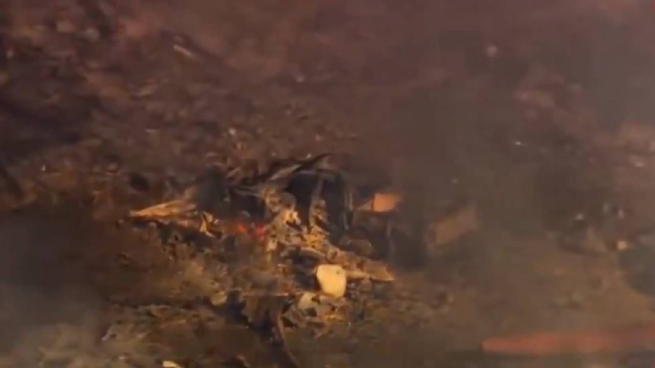 अमेरिकेत भीषण स्फोट, मोठी खळबळ, तब्बल इतक्या लोकांचा मृत्यू, अमेरिकन सैन्यासाठी... अमेरिकेत भीषण स्फोट, मोठी खळबळ, तब्बल इतक्या लोकांचा मृत्यू, अमेरिकन सैन्यासाठी...