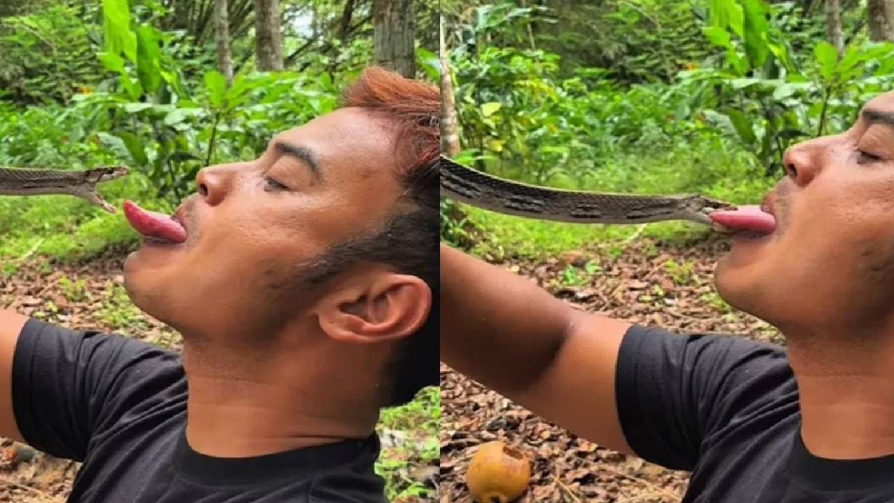 सापाशी खेळायला गेला अन् अंगाशी आलं; थरकाप उडवणारा VIDEO व्हायरल सापाशी खेळायला गेला अन् अंगाशी आलं; थरकाप उडवणारा VIDEO व्हायरल