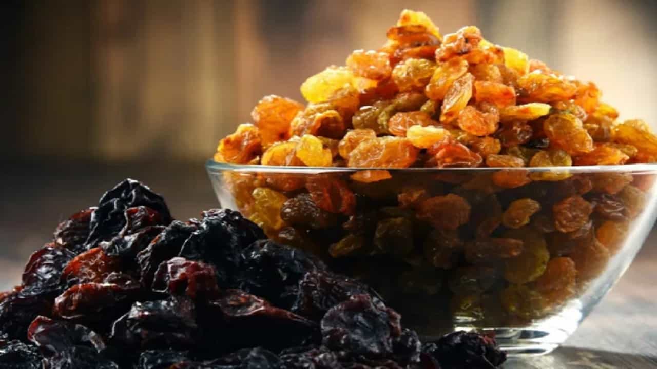 कोणते मनुके किंवा किशमिश आरोग्यासाठी जास्त फायदेशीर असतात? पिवळे की काळे?