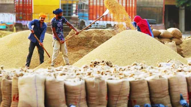Yogi Government : योगी सरकारच्या योजनेला भरभरून प्रतिसाद; 1.37 लाख शेतकऱ्यांची धान खरेदीसाठी नोंदणी, 3790 खरेदी केंद्र