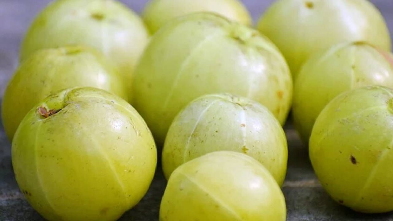 जर तुम्हाला हिवाळ्यात निरोगी राहायचे असेल तर फक्त एक पेय दररोज सकाळी उपाशी पोटी घ्या. यामुळे आरोग्याच्या असंख्य समस्या दूर होण्यास मदत होते. 