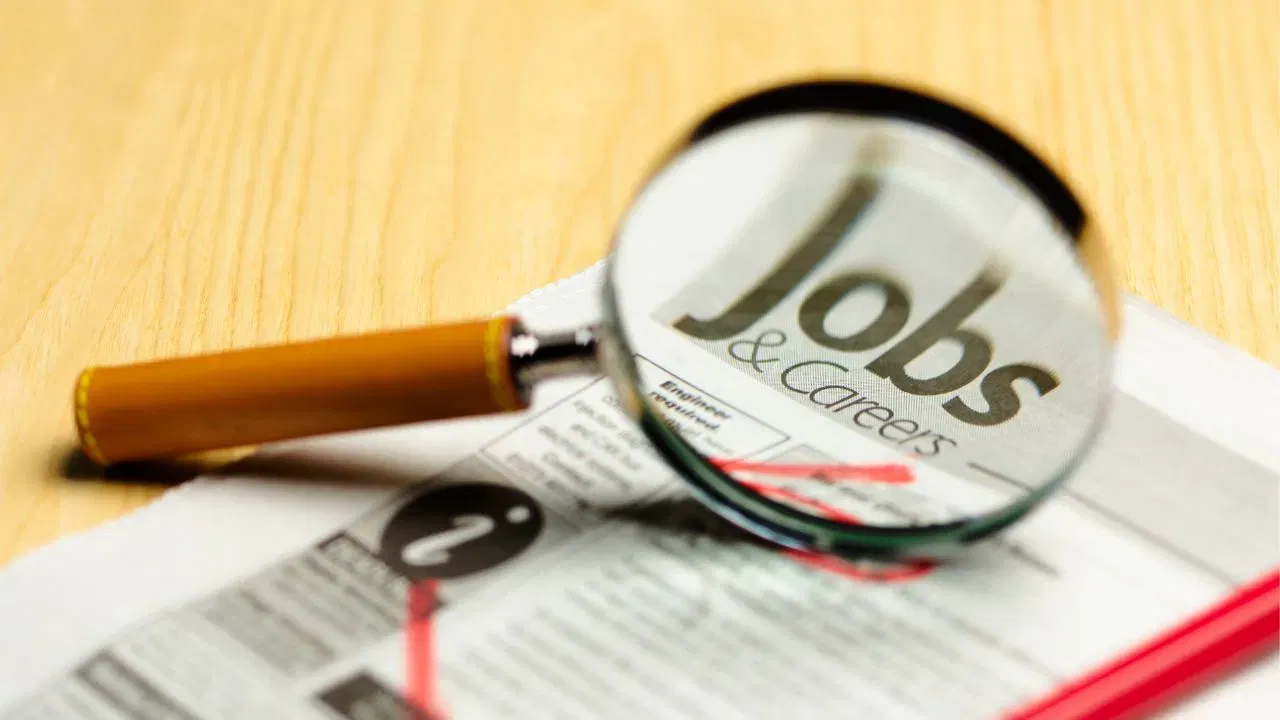 या पदांसाठी अर्ज करणाऱ्या उमेदवारांकडे संबंधित विषयात डिग्री किंवा डिप्लोमा असणे आवश्यक आहे. उमेदवाराने मान्यताप्राप्त विद्यापीठ किंवा संस्थेतून बीई, बीटेक, एमसीए, एमएससी, एमबीए किंवा पोस्ट ग्रॅज्युएट डिप्लोमा केलेला असावा. यासोबतच पदानुसार इतर आवश्यक पात्रता पूर्ण करणेही बंधनकारक आहे.