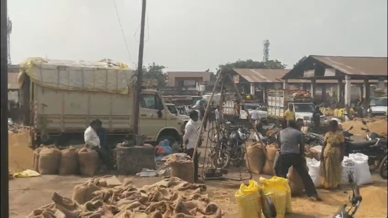 हरभऱ्याच्या पोत्यांमध्ये त्यांच्या कुटुंबियांनी ७ तोळे वजनाचे सोन्याचे विविध दागिने ठेवले होते. मात्र, हरभरा विक्रीसाठी घेऊन येणाऱ्या जनार्दन तांदळे यांना याची कोणतीही कल्पना नव्हती.