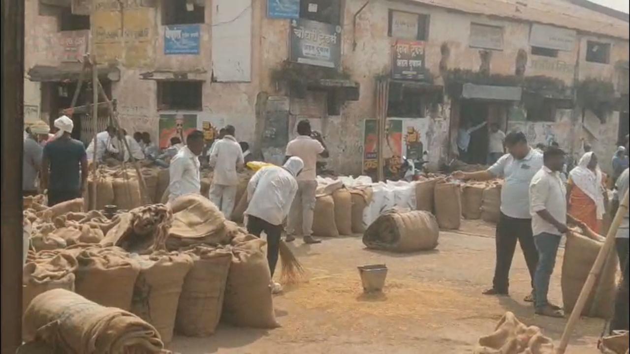 विदर्भातील सर्वात मोठी आणि एक श्रीमंत बाजार समिती म्हणून ओळखल्या जाणाऱ्या खामगाव कृषी उत्पन्न बाजार समितीमध्ये सध्या शेतमालाची मोठी आवक सुरु आहे. मेहकर तालुक्यातील कळसवीर येथील शेतकरी जनार्दन तांदळे हे आपला हरभरा विक्रीसाठी या बाजार समितीत घेऊन आले होते.