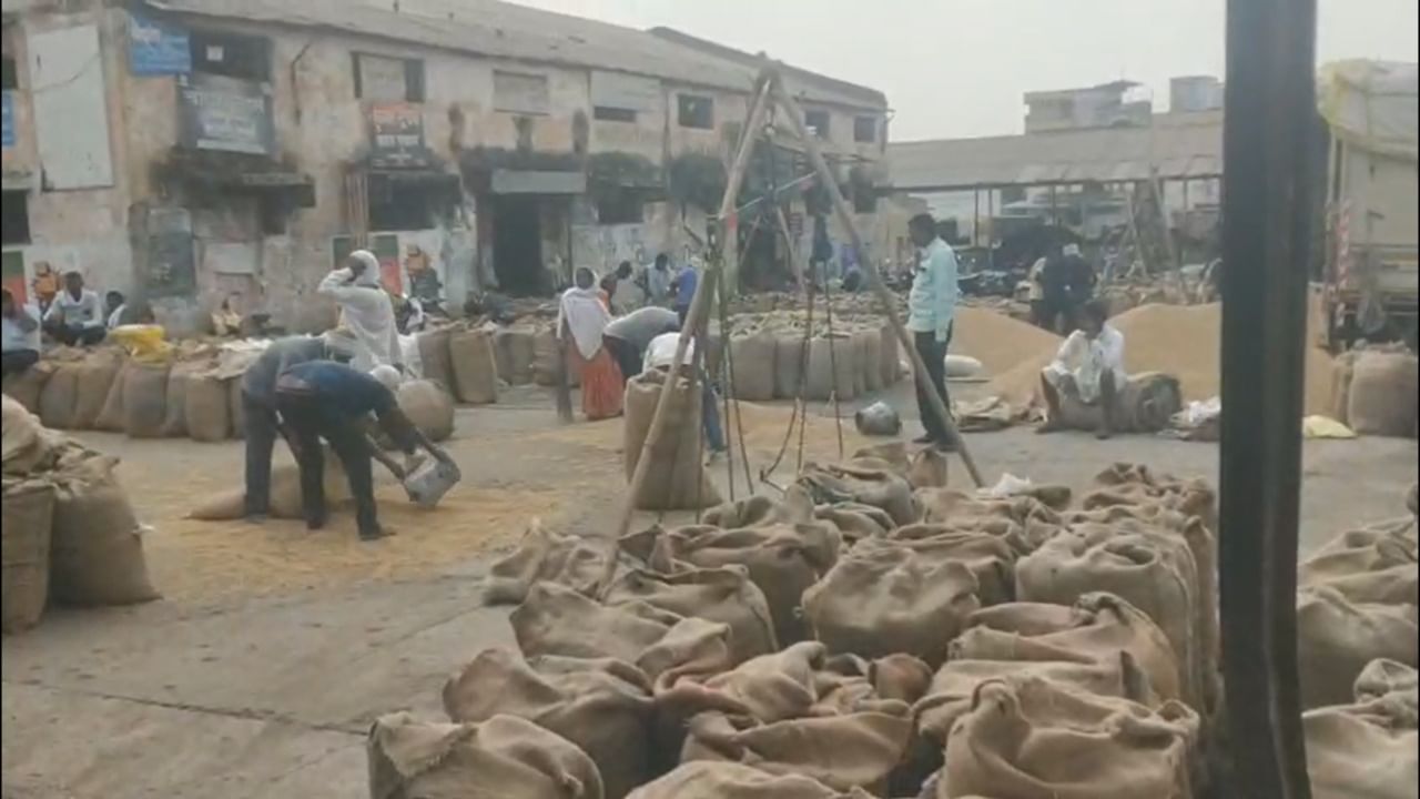 या कृतीमुळे बाजार समितीने केवळ आपले कर्तव्यच बजावले नाही, तर हजारो शेतकऱ्यांचा विश्वास अधिक दृढ केला आहे. कृषी उत्पन्न बाजार समितीच्या या कौतुकास्पद कामगिरीमुळे सर्व स्तरांतून त्यांचे अभिनंदन केले जात आहे.