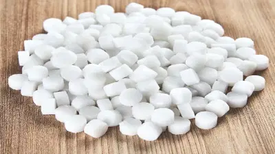 देवघरातील कापूर कोणत्या झाडापासून बनतो? 99 टक्के लोकांना माहितीच नाही