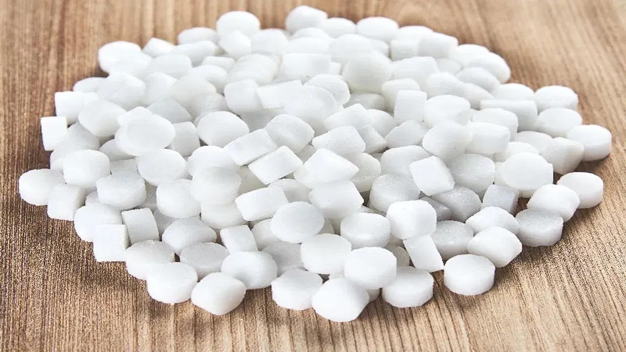 देवघरातील कापूर कोणत्या झाडापासून बनतो? 99 टक्के लोकांना माहितीच नाही