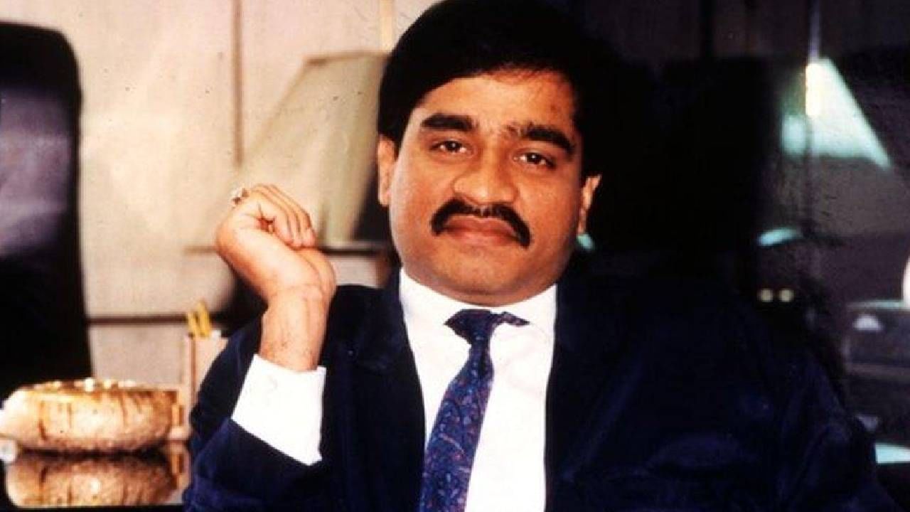 दाऊद इब्राहिम दहशतवादी नाही, त्याला..; प्रसिद्ध अभिनेत्रीचं धक्कादायक वक्तव्य दाऊद इब्राहिम दहशतवादी नाही, त्याला..; प्रसिद्ध अभिनेत्रीचं धक्कादायक वक्तव्य