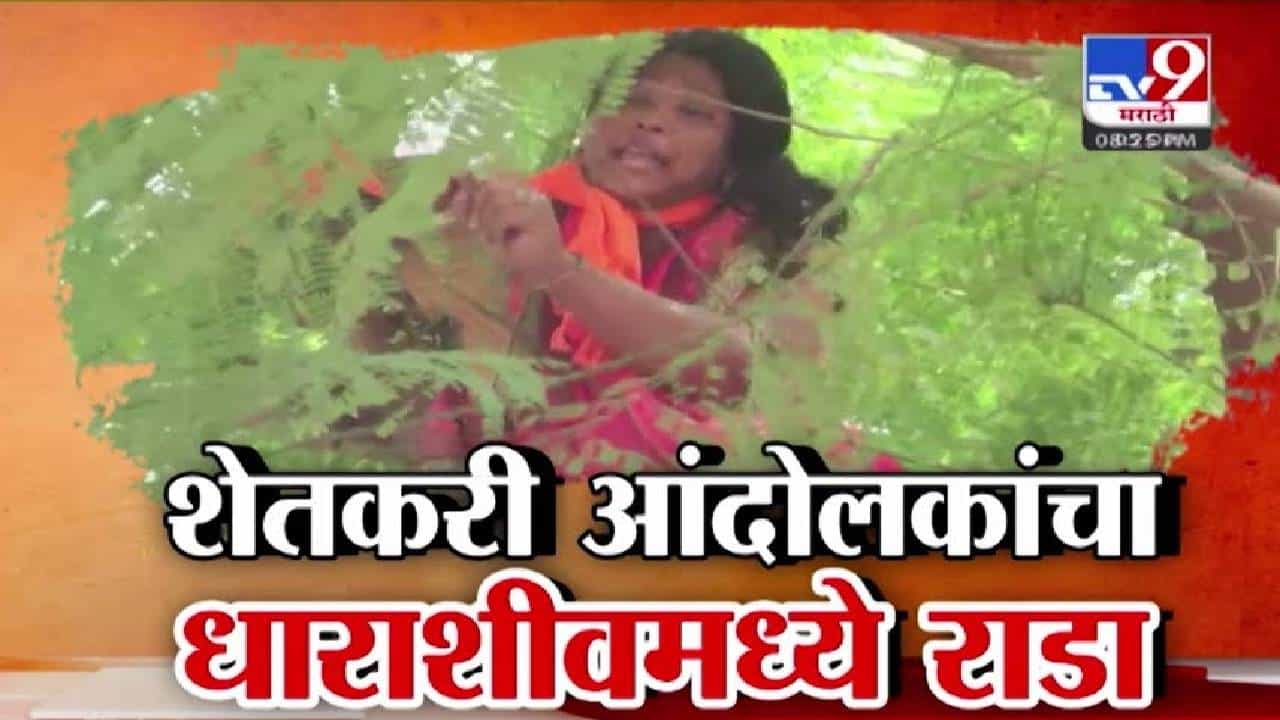 Dharashiv : बळीराजाचा टाहो सरकार कधी ऐकणार? शेतकरी आंदोलकांचा राडा, कुणी झाडावर तर कुणी गेटवर चढलं अन्....