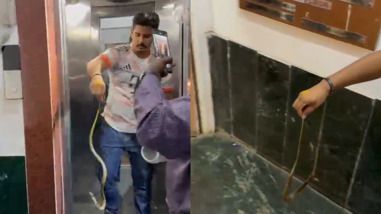 सोमवारी सकाळी १० वाजण्याच्या सुमारास धारावीतील ओएनजीसी (ONGC) समोरील एका इमारतीत लिफ्टमध्ये साप आढळल्याची माहिती माहीम येथील सर्पमित्र सचिन मोरे यांना मिळाली.