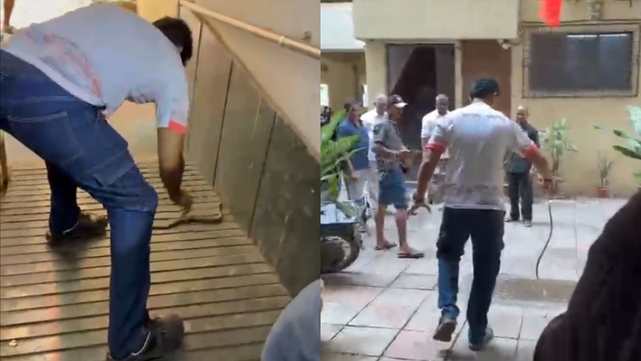 या घटनेची माहिती मिळताच सर्पमित्र सचिन मोरे यांनी तातडीने सोसायटी गाठली. त्यांनी तांत्रिक उपकरणांचा वापर करून, अत्यंत कौशल्यपूर्ण पद्धतीने लिफ्टमधील पंख्याच्या वरच्या जागेतून या विषारी सापाला सुरक्षितपणे बाहेर काढले.