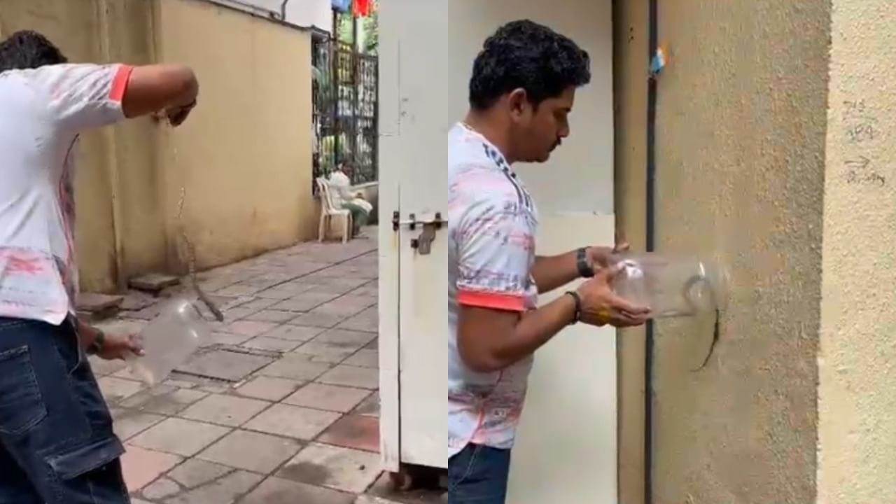 सापाला सुरक्षितपणे पकडल्यानंतर, वन विभागाच्या नियमांनुसार आणि मार्गदर्शक तत्त्वांनुसार त्याला नैसर्गिक अधिवासात म्हणजेच जंगलात नेऊन सोडण्यात आले. सर्पमित्राच्या तत्परतेमुळे आणि वन विभागाच्या सहकार्यामुळे एक मोठी दुर्घटना टळली.