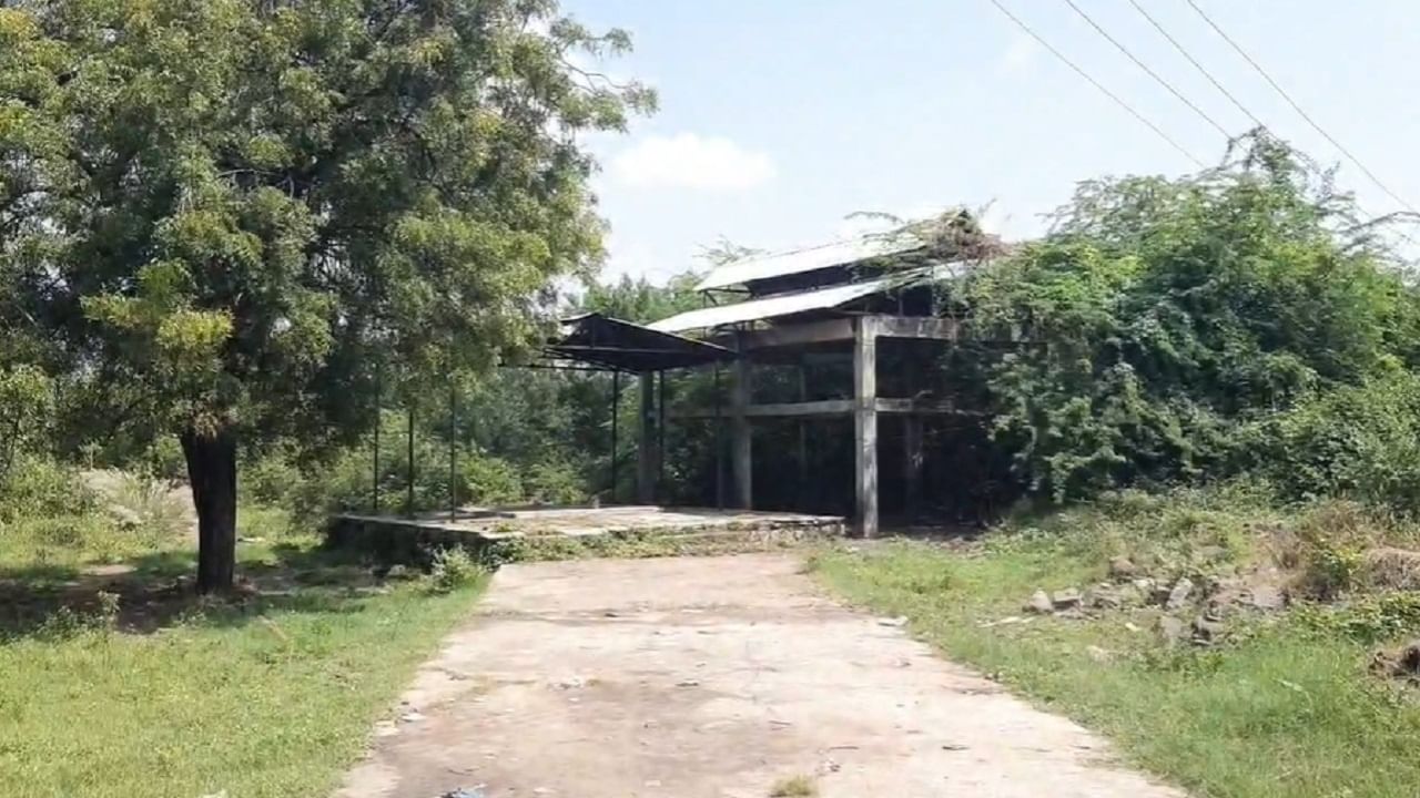 सांगायचं झालं तर, वडवळ गावातील तानाजी पवार या शेतकऱ्याचा दहा दिवसांपूर्वी मृत्यू झाला. मालकाच्या मृत्यूनंतर देखील कुत्र्यावर मोठा दुःखाचा डोंगर कोसळला आहे. फोटोंमध्ये तुम्ही कुत्र्याची अवस्था पाहू शकता. 