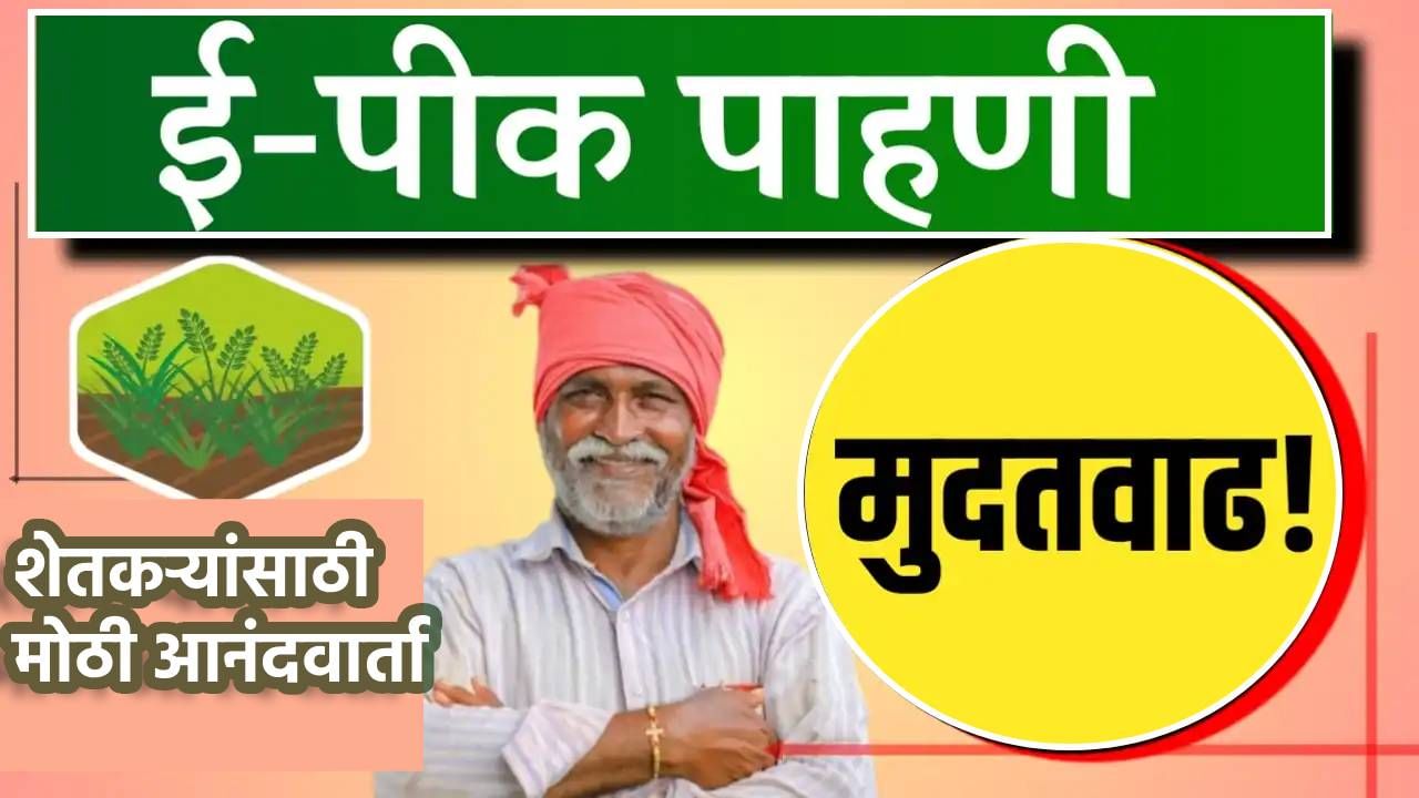 Pik Pahani : पावसाच्या रझाकारीत शेतकऱ्यांना मोठा दिलासा, पीक पाहणीबाबत मोठी अपडेट, तुमचा काय फायदा?