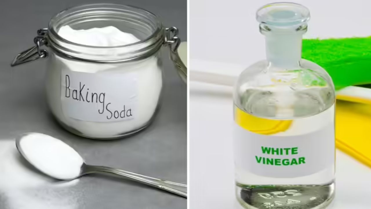 यानंतर एका टबमध्ये पाणी घ्या आणि त्यात डिटर्जंट, बेकिंग सोडा आणि व्हिनेगर एकत्र करून घ्या. या पाण्यामुळे तेलकट घाण आणि ग्रीस लवकर स्वच्छ होते. पंख्याच्या बाहेर असलेल्या जाळीच्या भागावर सर्वात जास्त ग्रीस जमा होते. हा जाळीचा भाग तयार केलेल्या द्रावणात काही वेळ भिजत ठेवा. यामुळे घाण आपोआप निघेल.