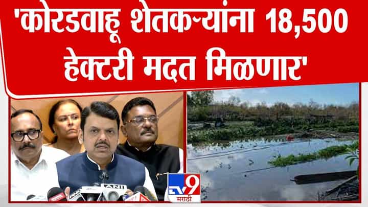 Farmer Relief Package : दुष्काळग्रस्त बळीराजाला मोठा दिलासा, कोरडवाहू शेतकऱ्यांना प्रति हेक्टरी इतकी मदत, ऐतिहासिक घोषणा काय? Farmer Relief Package : दुष्काळग्रस्त बळीराजाला मोठा दिलासा, कोरडवाहू शेतकऱ्यांना प्रति हेक्टरी इतकी मदत, ऐतिहासिक घोषणा काय?