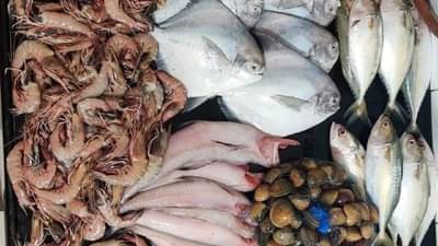 खवय्यांच्या ताटातले मासे झाले गायब, सुरमई-पापलेटचा दर गगनाला, ऐकून तोंडाला येईल फेस