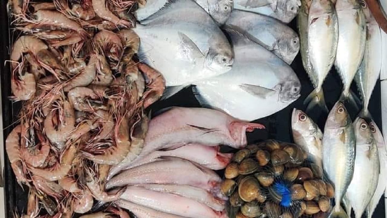 खवय्यांच्या ताटातले मासे झाले गायब, सुरमई-पापलेटचा दर गगनाला, ऐकून तोंडाला येईल फेस खवय्यांच्या ताटातले मासे झाले गायब, सुरमई-पापलेटचा दर गगनाला, ऐकून तोंडाला येईल फेस