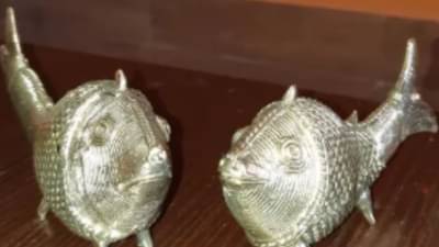 Feng Shui :  घरात माशांच्या जोडीची मूर्ती ठेवा, काही दिवसांमध्येच घडेल मोठा चमत्कार, आहेत फायदेच फायदे
