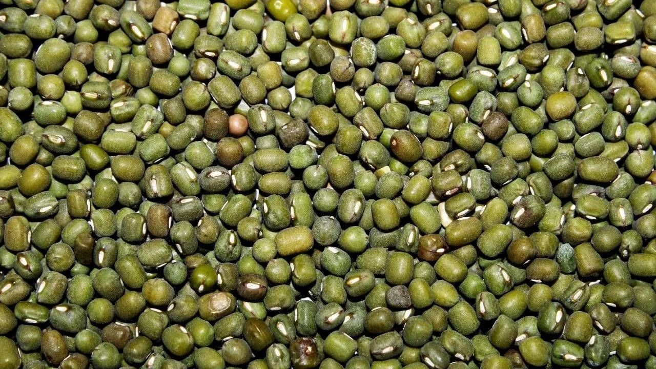 आपण सकाळच्या आणि दुपारच्या जेवणात हिरव्या मुगाचा समावेश करू शकता. आपण भाजी किंवा सलाडमध्येही त्याचा आरामात समावेश करू शकता. फक्त रात्री मूग खाणे टाळा.