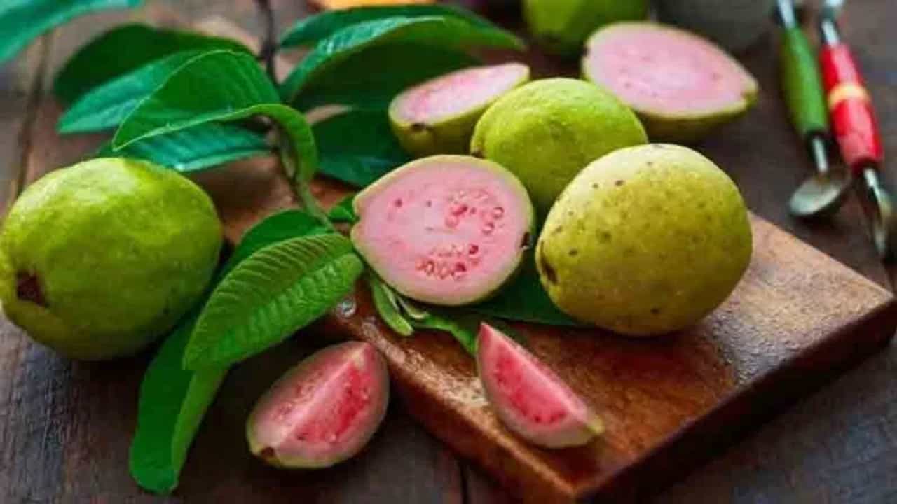 हिवाळा सुरू झाला की बाजारात हिरवे, पिवळे आणि लाल पेरू मोठ्या प्रमाणात उपलब्ध होतात. पेरूमध्ये सोडियम, पोटॅशियम, फायबर, प्रथिने, लोह आणि व्हिटॅमिन सी सारख्या पोषक तत्वांचा साठा असतो, ज्यामुळे ते एक सुपरफूड मानले जाते.