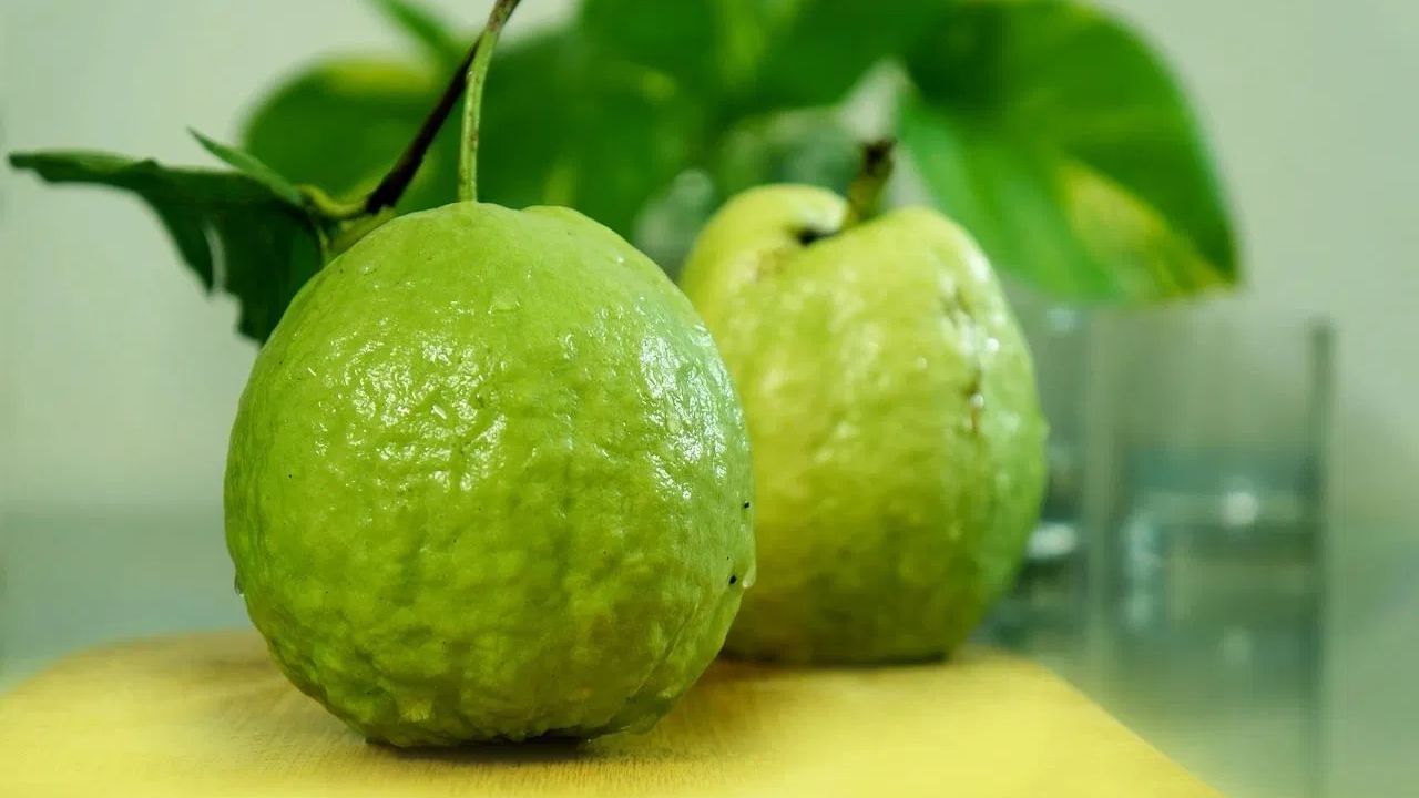 पेरुमुळे पचनाच्या समस्या आणि शारीरिक अशक्तपणा कमी होतो. याव्यतिरिक्त त्यातील अँटीऑक्सिडंट्स शरीराचे हानिकारक कणांपासून संरक्षण करतात. ज्यामुळे अनेक गंभीर रोग टाळता येतात.