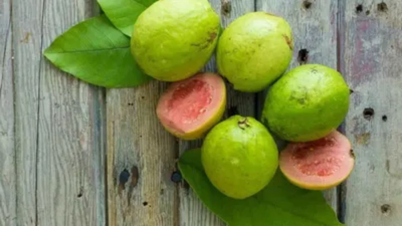 पेरूचा स्वभाव थंड असतो. त्यामुळे हिवाळ्यामध्ये पेरूचे जास्त प्रमाणात सेवन केल्यास घसा खवखवणे, सर्दी आणि खोकला होण्याची शक्यता वाढते.