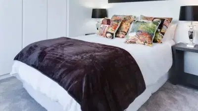 जड ब्लँकेट 15 मिनिटांत स्वच्छ होईल, धुण्याची गरज नाही, ही ट्रिक वापरा