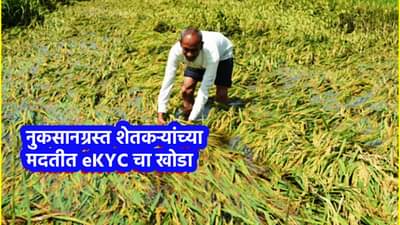 नुकसानग्रस्त शेतकऱ्यांच्या मदतीत eKYC चा खोडा; 746 कोटी बँकेत पडून