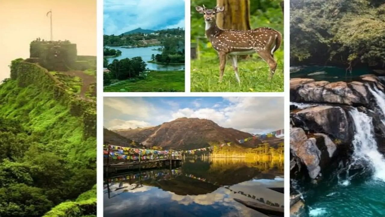 थंड वारा, हिरव्या डोंगर-दऱ्यांचा आनंद घेऊ इच्छिता का? इथे टूर प्लॅन करा