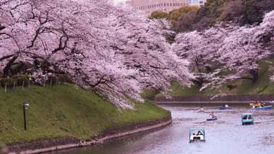 परदेशात राहण्याची आहे इच्छा? तर फक्त 5 हजार रुपयांमध्ये तुम्ही या देशात होऊ शकता स्थायिक