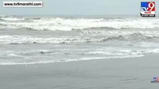 रत्नागिरीच्या समुद्र किनाऱ्यावर पुन्हा एकदा तो भयंकर मासा दिसला, नागरिकांमध्ये दहशत, समुद्रात न जाण्याचं आवाहन