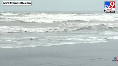 रत्नागिरीच्या समुद्र किनाऱ्यावर पुन्हा एकदा तो भयंकर मासा दिसला, नागरिकांमध्ये दहशत, समुद्रात न जाण्याचं आवाहन