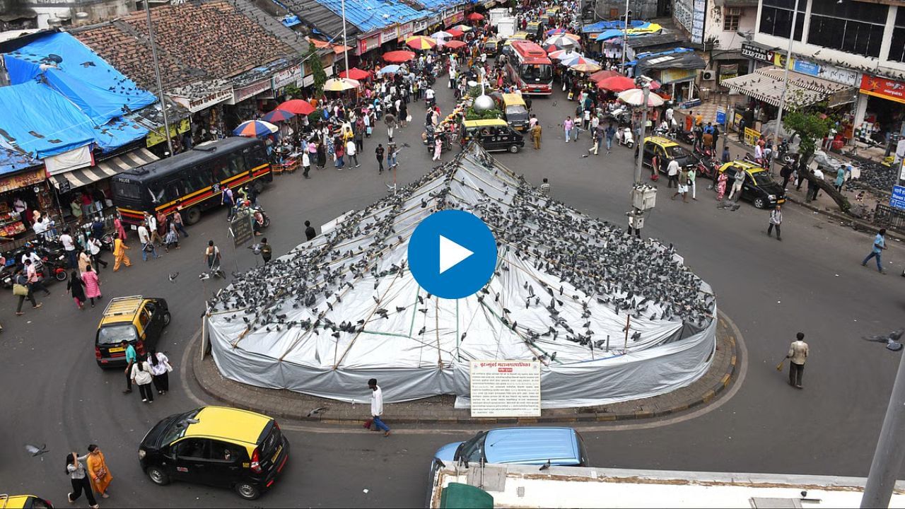 न्यायालयीन लढाई लढून पुन्हा...; जैन मुनींचं मोठं विधान न्यायालयीन लढाई लढून पुन्हा...; जैन मुनींचं मोठं विधान