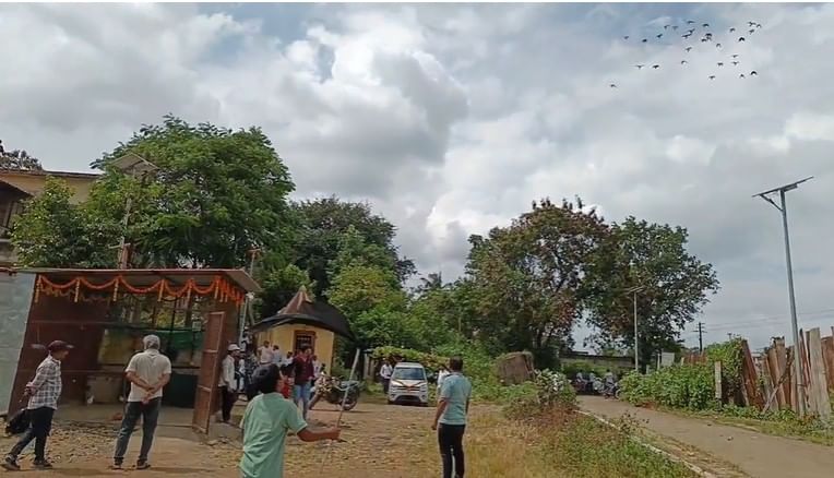 दिवाळीमध्ये सर्व कबुतर ढाबळ मालक एकत्रित वर्गणी गोळा करून, वेगवेगळ्या भागातून चांगली महागडी जातिवंत कबूतर खरेदी करून आणतात.त्यांना रंग देऊन गावकीच्यावतीने विविध ठिकाणाहून ही कबूतर आकाशात सोडली जातात.