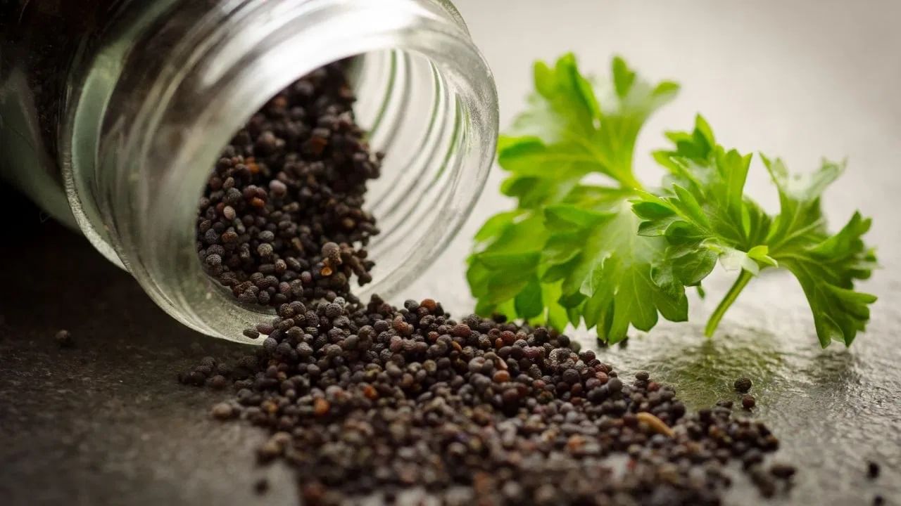 फक्त 2 काळ्या मिरीचे 6 आश्चर्यकारक फायदे, आरोग्यासाठी अत्यंत फायदेशीर मानली फक्त 2 काळ्या मिरीचे 6 आश्चर्यकारक फायदे, आरोग्यासाठी अत्यंत फायदेशीर मानली