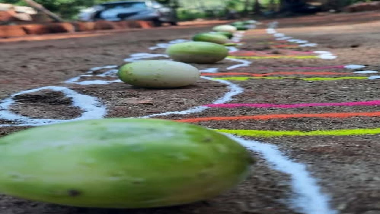 नरकासुर नावाच्या राक्षसाचा वध भगवान श्रीकृष्णाने नरक चतुर्दशीच्या दिवशी केला होता. ‘कारटे’ हे नरकासुराचं प्रतीक मानलं जातं आणि पायाने ते फोडणं म्हणजे अधर्मावर धर्माचा विजय दर्शवणं.